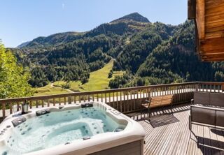  Propriété/château à vendre 15 + pièces 3750 m²