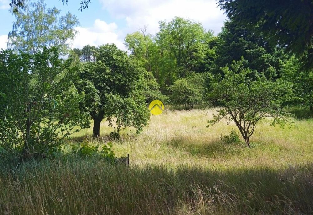 Vente Terrain terrain constructible Bonny sur loire