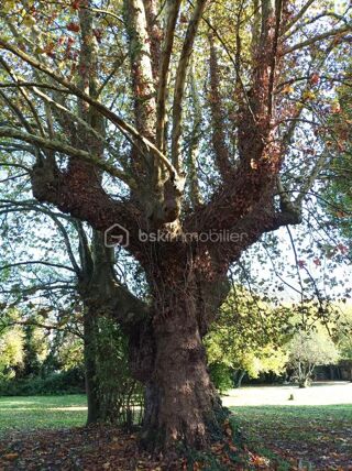  Terrain � vendre 10907 m�