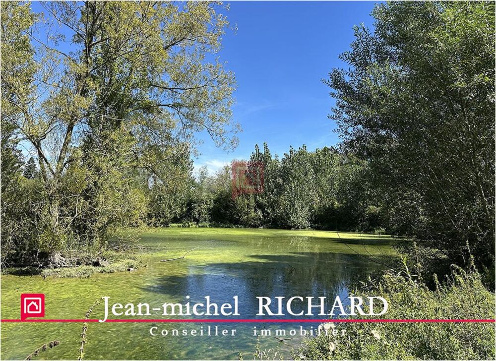 Vente Terrain Terrain de loisirs Le Controis En Sologne 5624 m2 Le controis en sologne