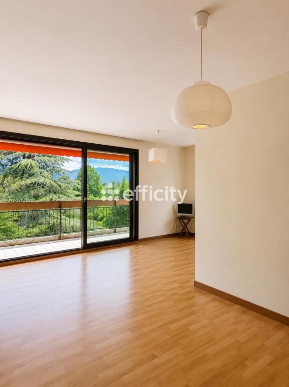 Vente Appartement Appartement ancien Echirolles