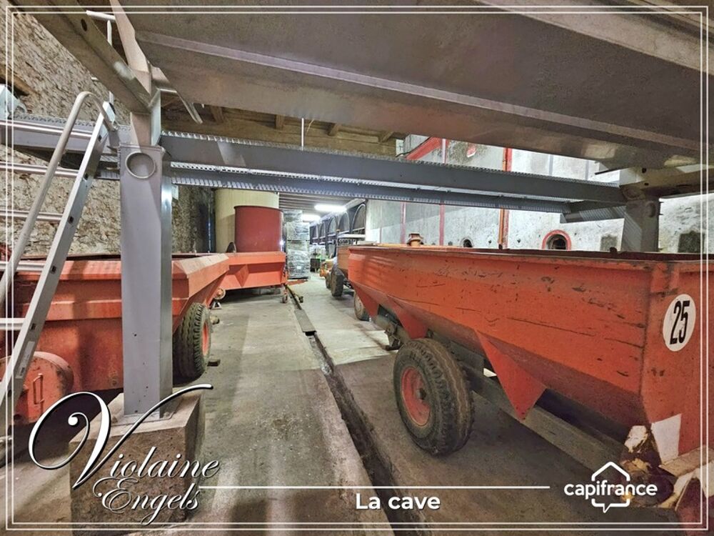  vendre  Proprit/chteau Cesseras (34210)