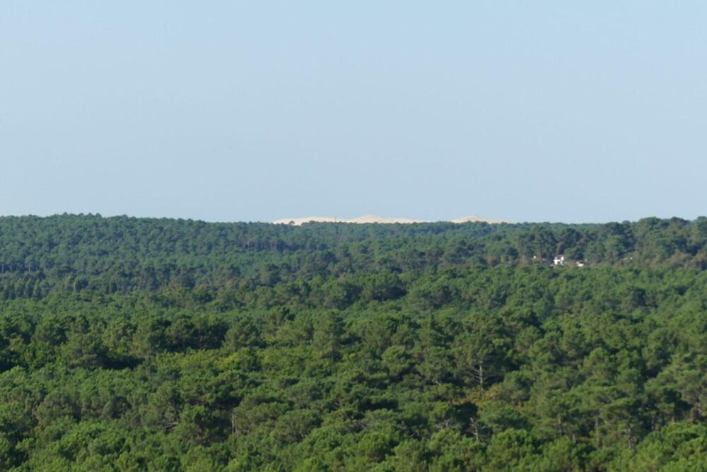 Appartement avec vue PANORAMIQUE SUR LE BASSIN D'ARCACHON