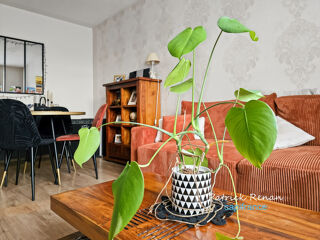  Appartement � vendre 3 pi�ces 55 m�