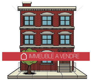  Immeuble  vendre 12 pices 300 m