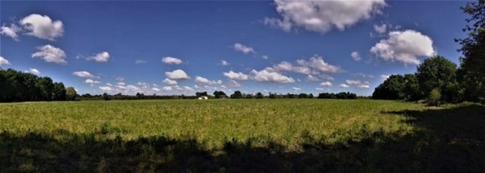 Vente Terrain Terrain agricole plat d'un seul tenant de 11,93 hectares Mont de marsan