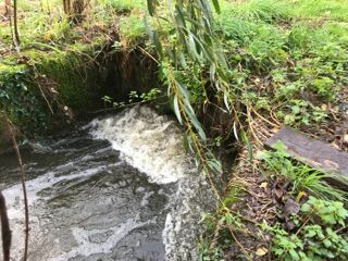  Terrain � vendre 20347 m�