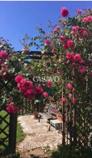  Maison � vendre 8 pi�ces 205 m�