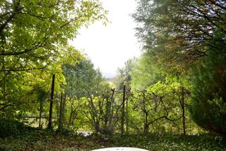  Terrain � vendre 995 m�