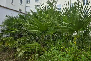  Appartement  vendre 4 pices 67 m