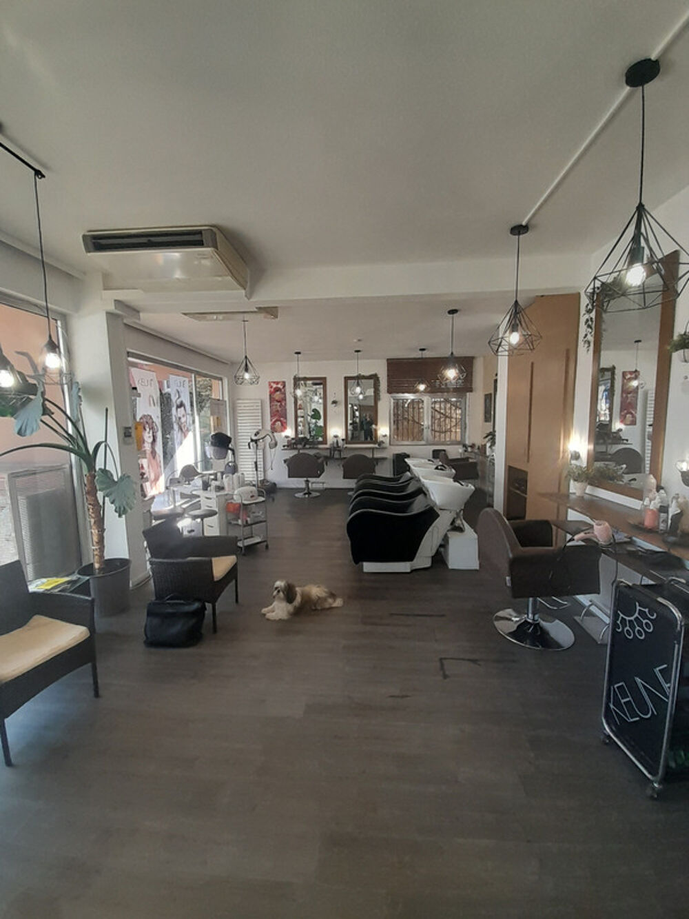   Fonds de commerce à vendre ILLKIRCH GRAFFENSTADEN (67) 