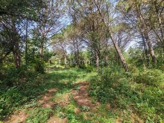  Terrain à vendre 10130 m²