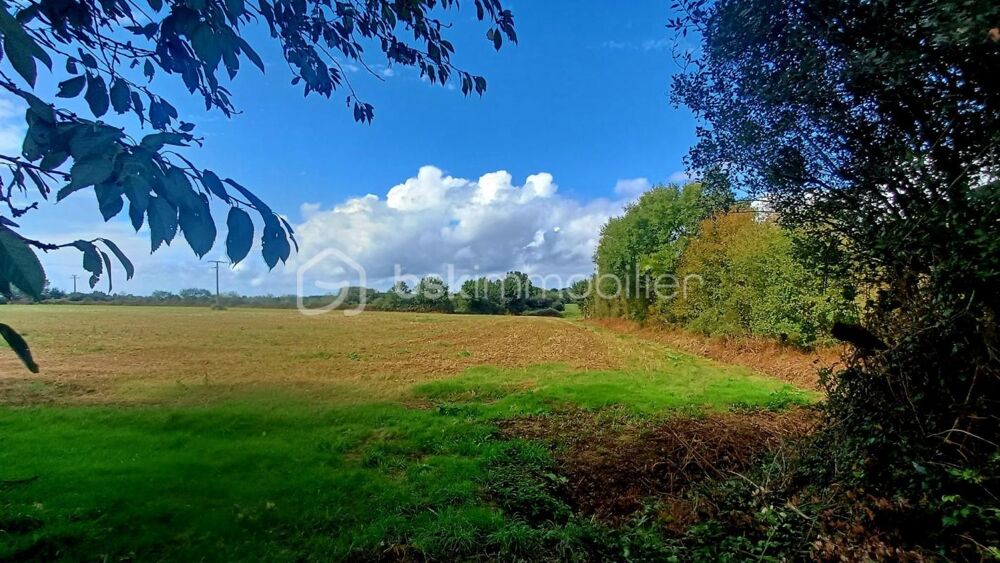 � vendre  Maison Nieul-le-Dolent (85430)