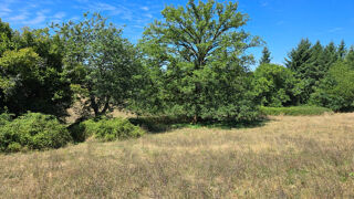  Terrain � vendre 8875 m�