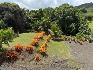  Immeuble � vendre 363 m�