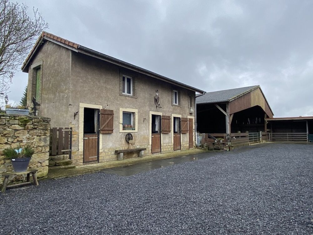 Propriété équestre avec maison, grange et prairies  Village calme proche frontières - Doncourt Les Longuyon (54)