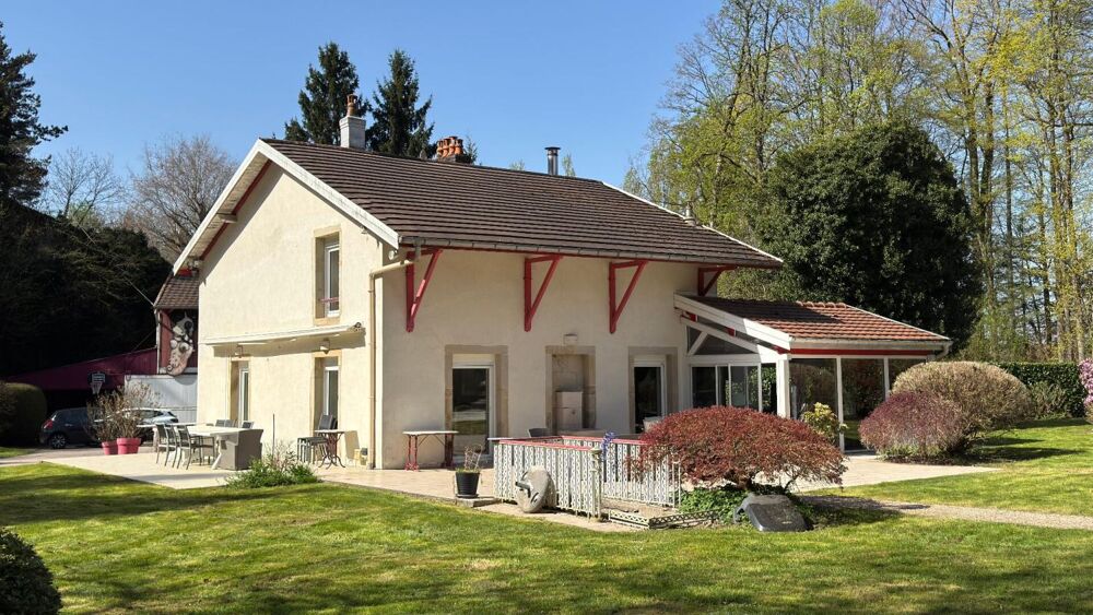 Vente Propriété/Château Magnifique propriété arborée au coeur d'Epinal Epinal