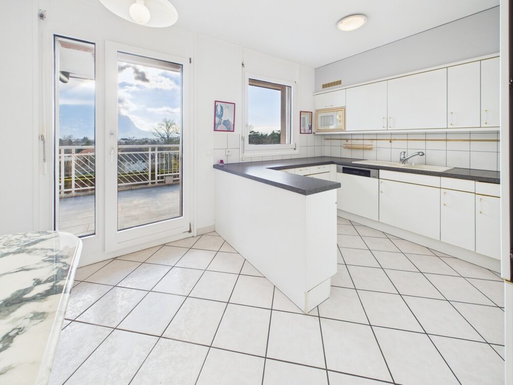 à vendre  Appartement Ambilly (74100)