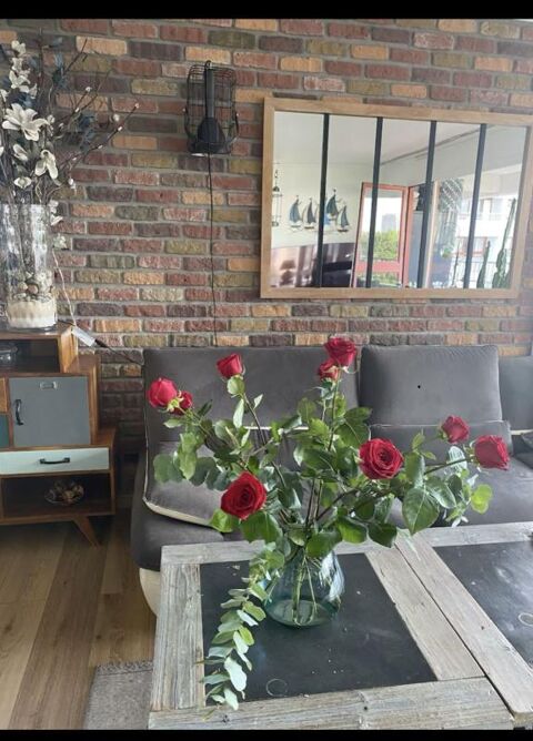  Appartement � louer 1 pi�ce 16 m�