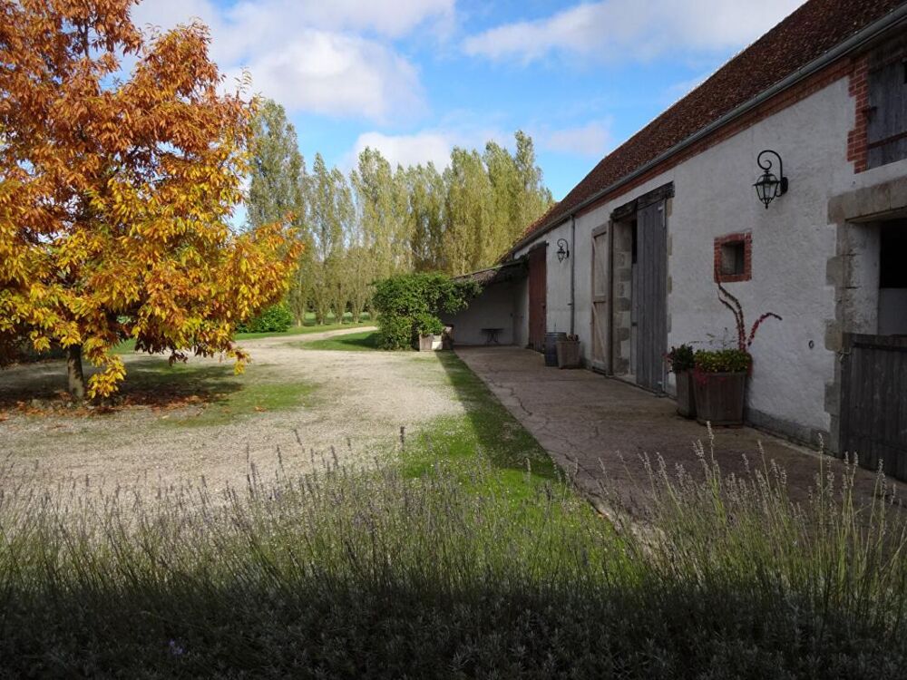 à vendre  Propriété/château Sigloy (45110)