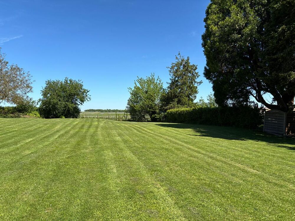 Maison Moulis En Medoc 325 m2