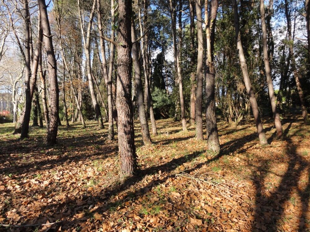 Vente Terrain Terrain à bâtir hors lotissement Saissac