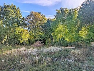  Terrain à vendre 450 m²