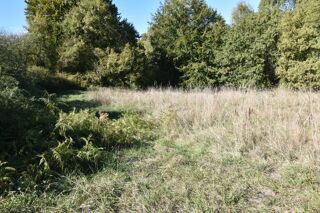  Terrain à vendre 6610 m²