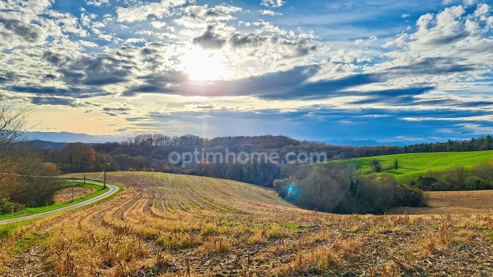 Vente Terrain Proche de SAUVETERRE DE BEARN Sauveterre de bearn