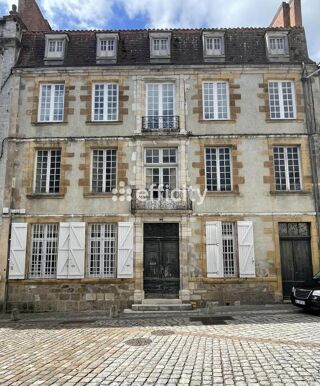  Hôtel Particulier à vendre 12 pièces 495 m²