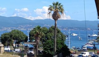  Appartement � louer 4 pi�ces 70 m� Ajaccio