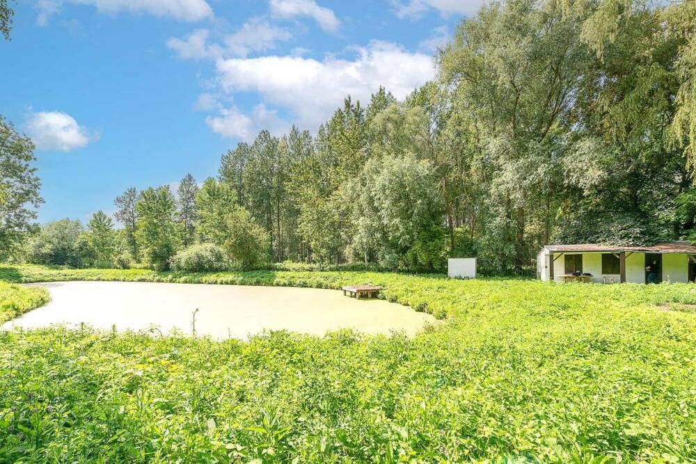 Vente Terrain RARE SUR LE SECTEUR – Étang privé de 1 250 m2 avec chalet sur plus de 3 300 m2 de terrain clos et arboré, aux portes de Saint-Am Millonfosse