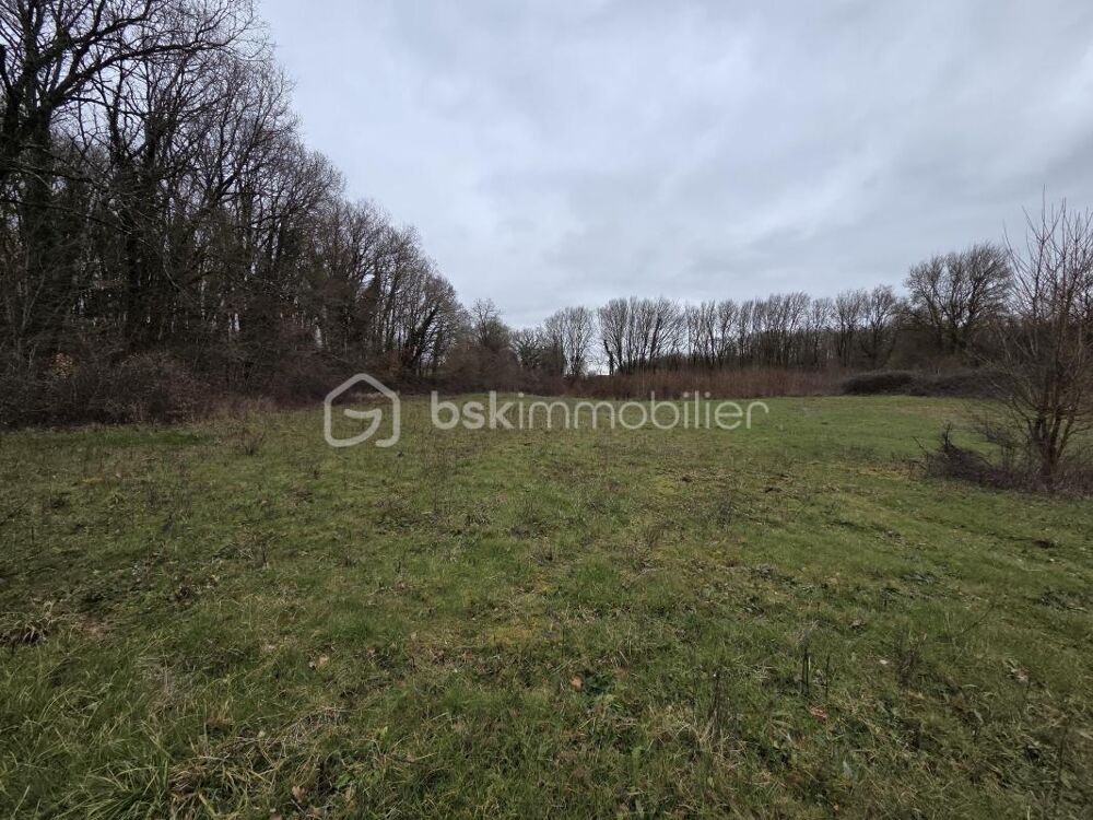Vente Terrain Terrain non constructible Blanzay