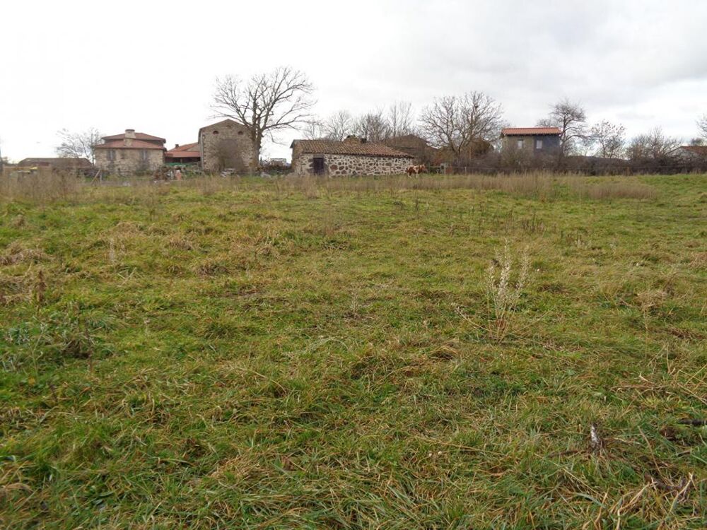 Vente Terrain Saint Vidal (43), terrain constructible de 1433 m2 plat Saint vidal