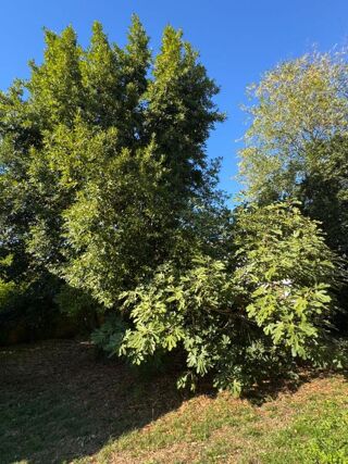  Maison � vendre 4 pi�ces 82 m�