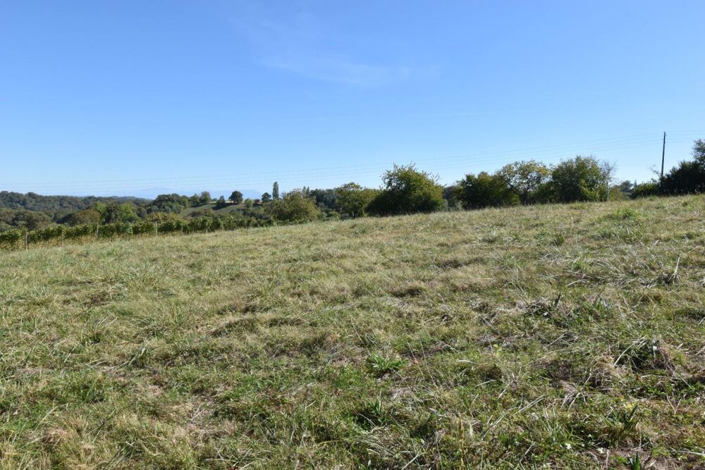 Vente Terrain Terrain agricole de 6 610 m² LUCQ DE BEARN (64) Lucq de bearn