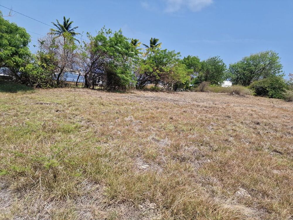 Vente Terrain TERRAIN POINTE FAULA Le vauclin