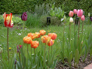  Maison  vendre 6 pices 115 m