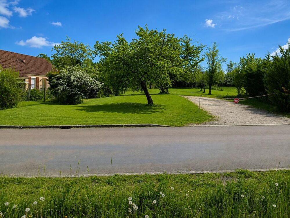 Vente Terrain Terrain Carisey 1100 m2 Carisey