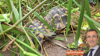  Immeuble � vendre 8 pi�ces 234 m�