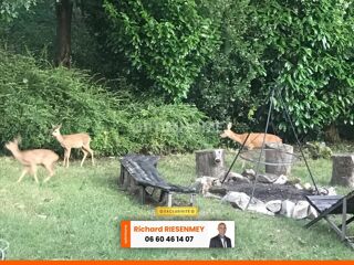  Chalet � vendre 3 pi�ces 42 m� Saint cheron