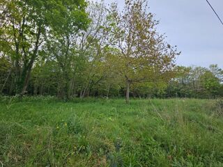  Terrain à vendre 3917 m²