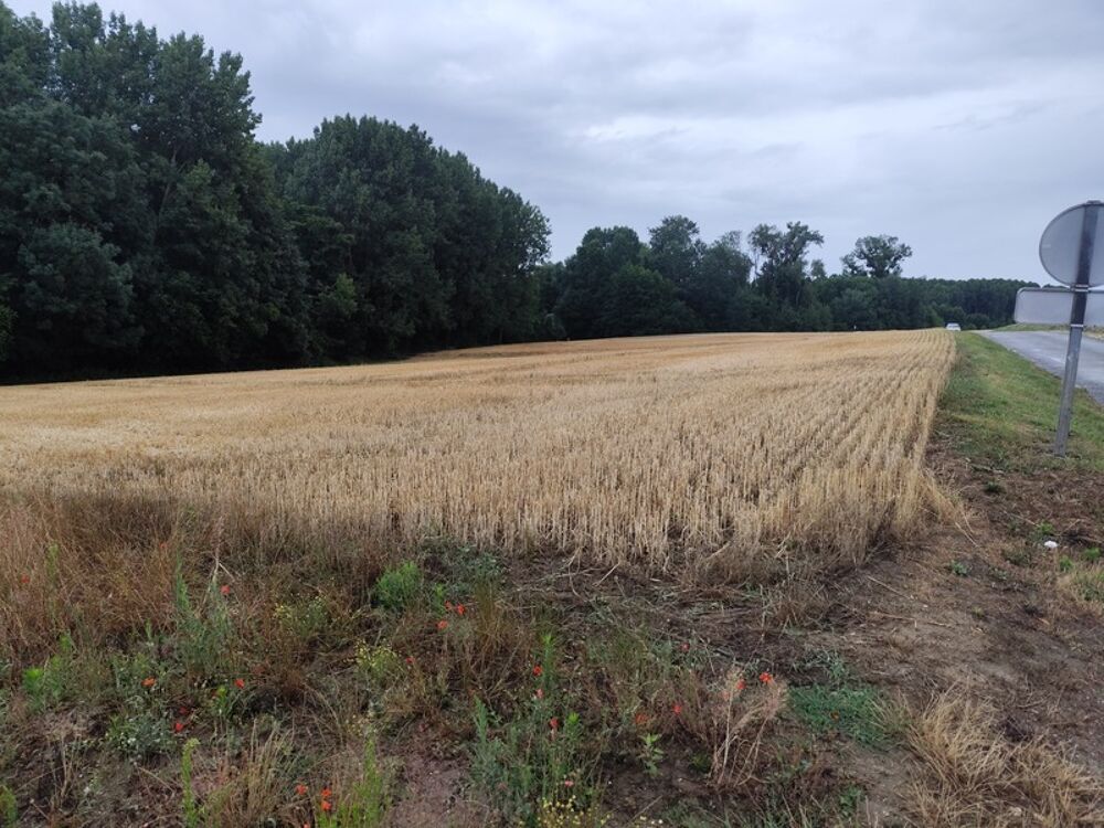 Vente Terrain Terrain � vendre de 4 219,00 m� BETHANCOURT EN VALOIS (60) Bethancourt en valois