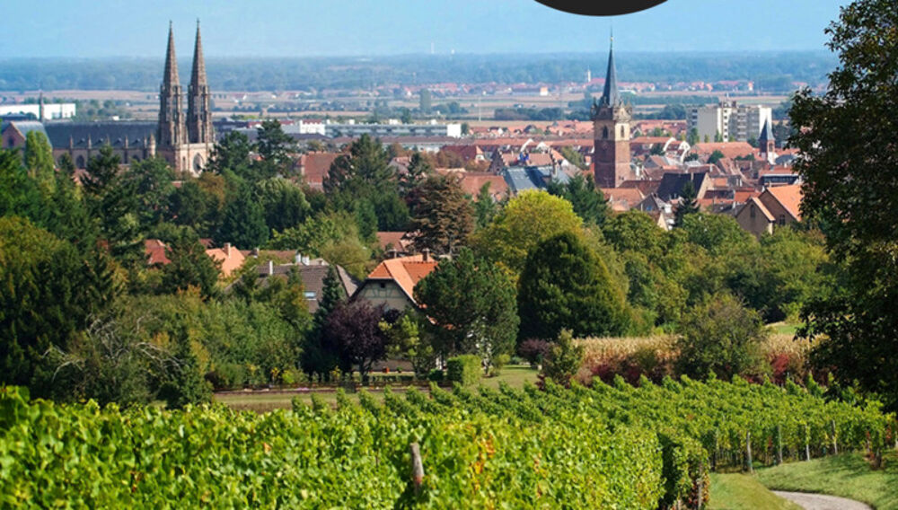 A Obernai, face au parc, un cadre de vie exceptionnel