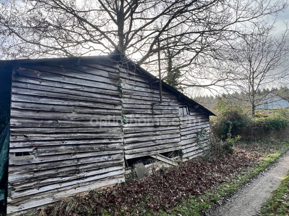 Vente Terrain Terrain à bâtir avec hangar à Langon sur cher Langon