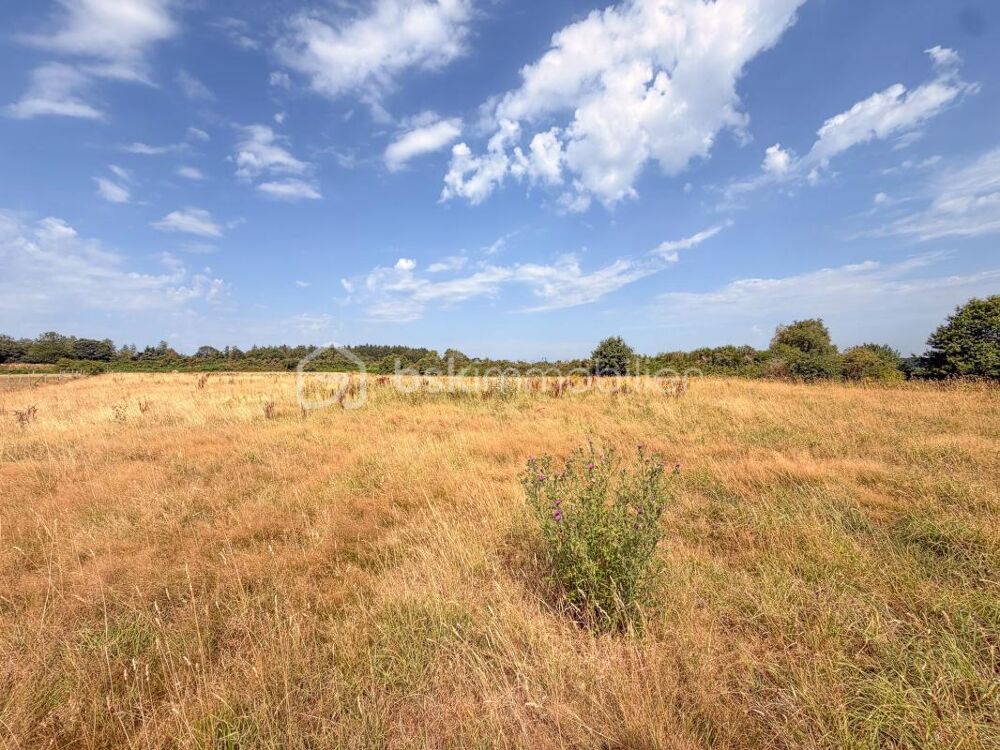 à vendre  Propriété/château Landévant (56690)