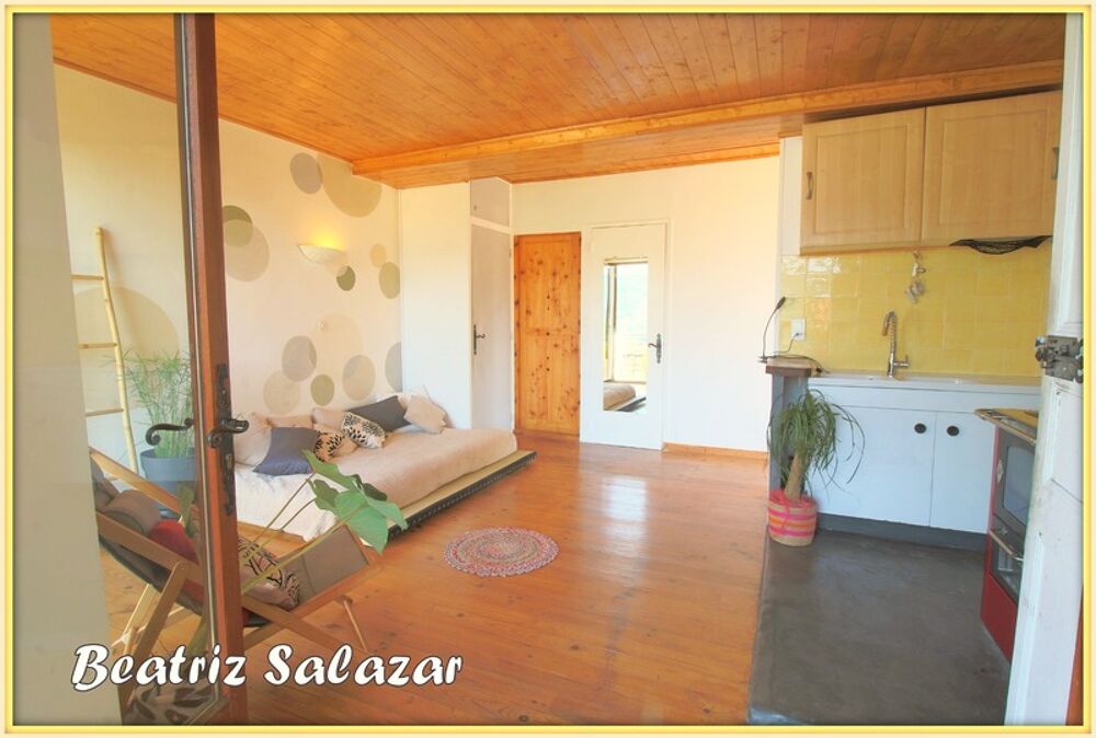 A Seyne-les-Alpes appartement T2, 31 m² avec terrasse, jardin et grand atelier dans un environnement très calme