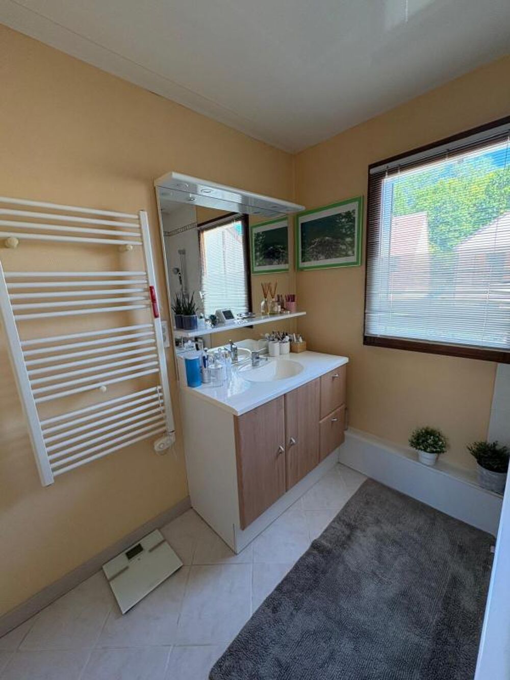 Vente Maison Maison Cregy les meaux