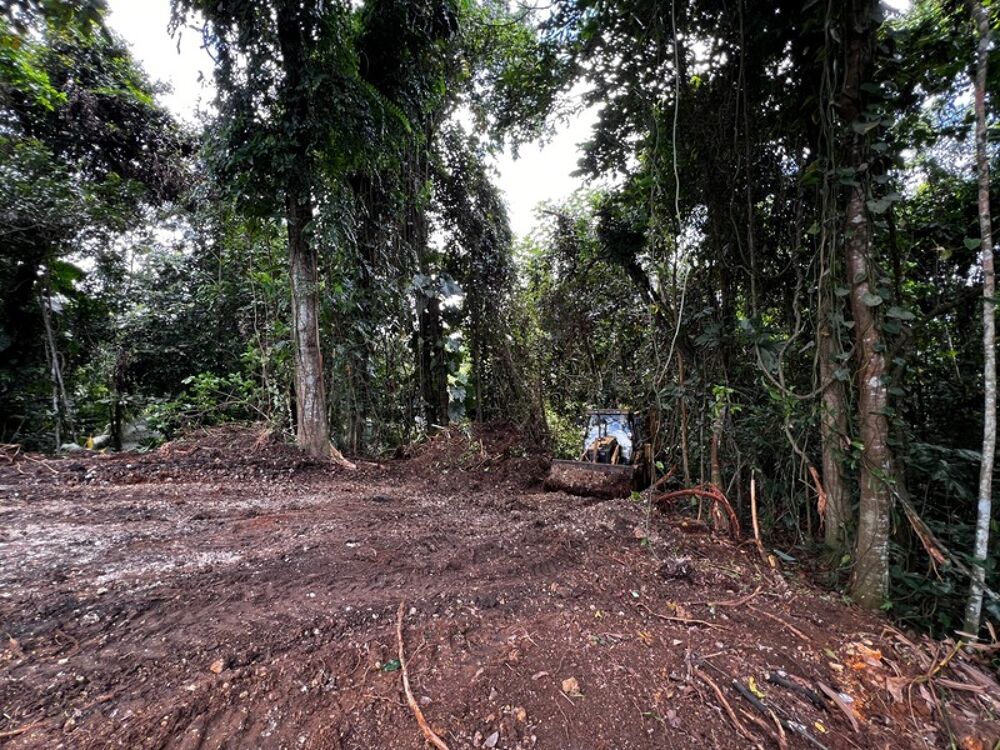 Vente Terrain Magnifique terrain à vendre de 3 882 m² en pleine forêt tropicale en lisière de rivière Petit bourg