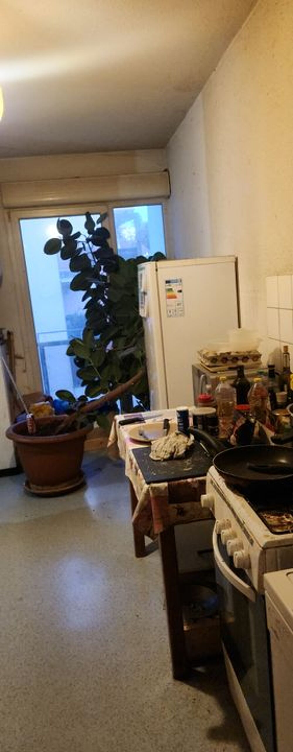 Location Appartement Chambre de 14m2 à louer sur Riedisheim Riedisheim